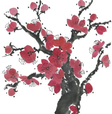 Çiçek açması sakura dalı. Pembe ve kırmızı erik çiçekleri stilize mei ve yabani kiraz. Suluboya ve mürekkep stili sumi-e, go-hua, u-sin ağacında Illustration. Oryantal geleneksel resim.