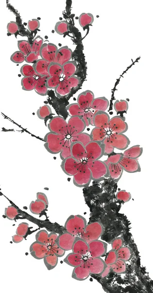 Egy Ága Virágzó Sakura Pink Piros Stilizált Virágok Szilva Mei — Stock Fotó