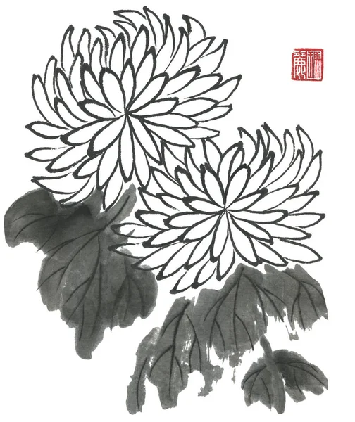 Chrysanthème Comme Symbole Japon Chine Fleurs Feuilles Contour Peinture Encre — Photo