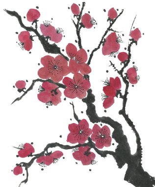 Çiçek açması sakura dalı. Pembe ve kırmızı erik çiçekleri stilize mei ve yabani kiraz. Suluboya ve mürekkep stili sumi-e, go-hua, u-sin ağacında Illustration. Oryantal geleneksel resim.