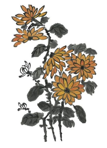 Crisantemo Giallo Come Simbolo Del Giappone Della Cina Acquerello Dipinto — Foto Stock