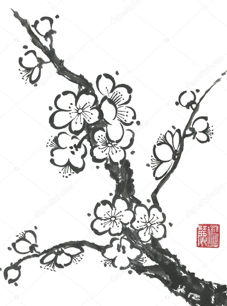 A branch of a blossoming sakura. Contour   flowers of plum mei and  wild cherry .  Oriental traditional illustration of tree in style sumi-e, go-hua,  u-sin. Stylized print with hieroglyphs