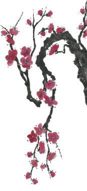Çiçek açması sakura dalı. Pembe ve kırmızı erik çiçekleri stilize mei ve yabani kiraz. Suluboya ve mürekkep stili sumi-e, go-hua, u-sin ağacında Illustration. Oryantal geleneksel resim.