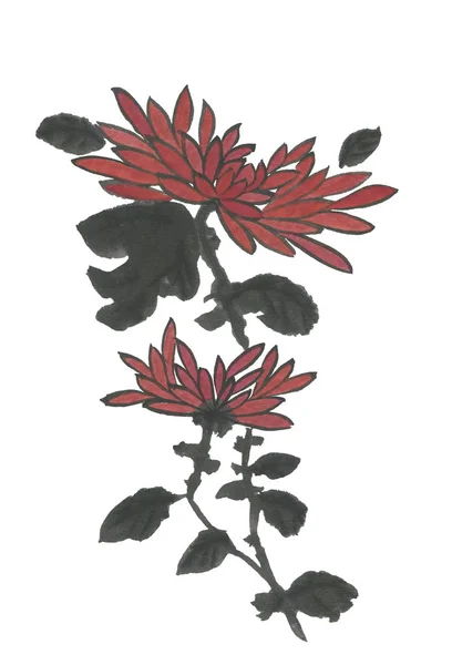 Crisantemo Rosso Come Simbolo Del Giappone Della Cina Acquerello Dipinto — Foto Stock