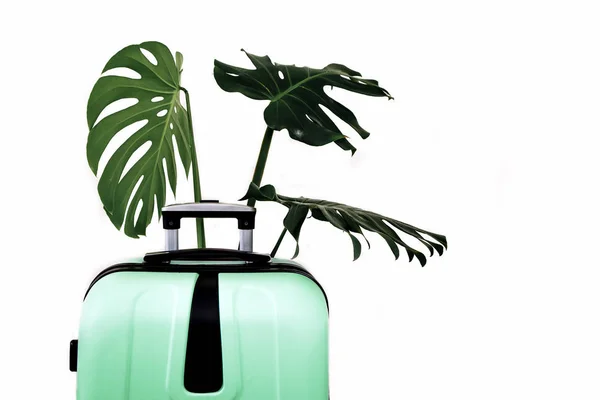 Valise Voyage Verte Sur Fond Blanc Aux Feuilles Tropicales Vertes — Photo