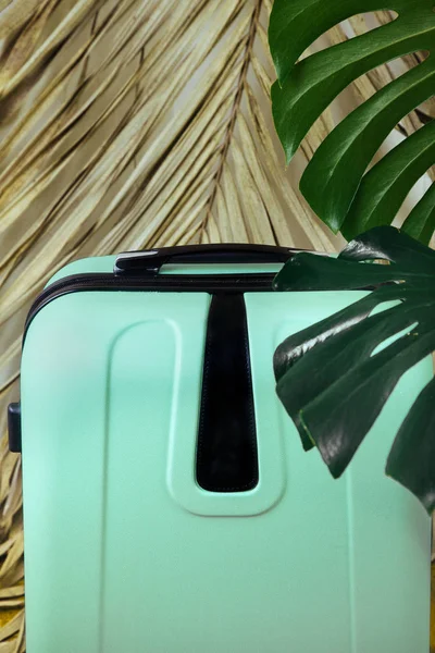 Green travel suitcase on white background with green tropical leaves. A plant monster with a large luggage bag for travel.