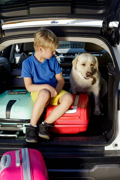 Çocuk çok renkli bavul arabanın içinde yükleniyor. Açık bir labrador ve bavul ile bir araba bagajında çocuk oturur.