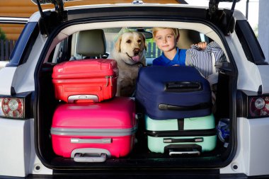 Çocuk çok renkli bavul arabanın içinde yükleniyor. Açık bir labrador ve bavul ile bir araba bagajında çocuk oturur.