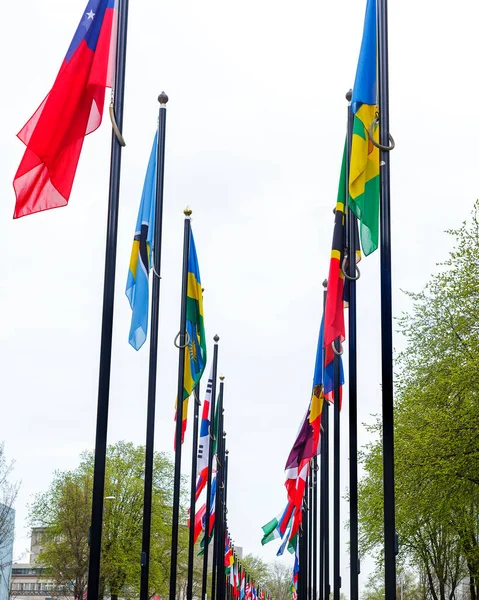 Many flags on the street in Europe In the Netherlands as a symbol of friendship between peoples and nations. Waving flags of different countries along the road in The Hague.