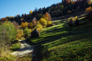 Sonbahar gündoğumu Karpatlar dağ ormanları içinde. Hava bir bakış açısı ile sonbaharda tipik dağ manzarası.