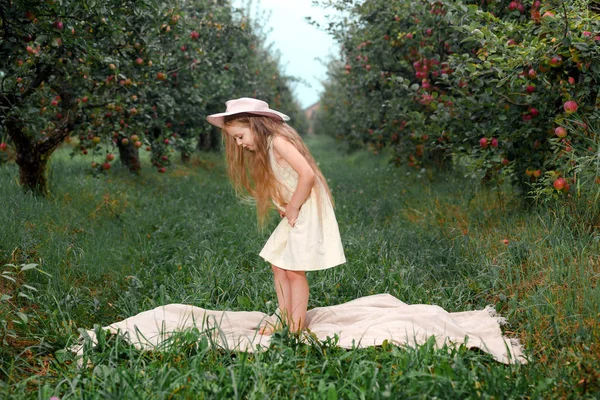 Kleines Mädchen Weißem Kleid Und Hut Einem Apfelgarten Auf Einem — Stockfoto