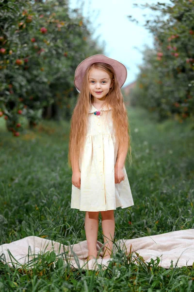 Kleines Mädchen Weißem Kleid Und Hut Einem Apfelgarten Auf Einem — Stockfoto