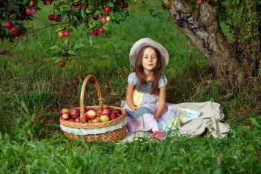 Kız hasat Bahçe ağaçları kırmızı pembe şapka sepet elma yeşil çim arka plan toplama