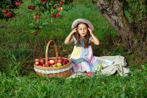 Küçük kız Olgun kırmızı elmalar büyük bir sepet içinde toplar.