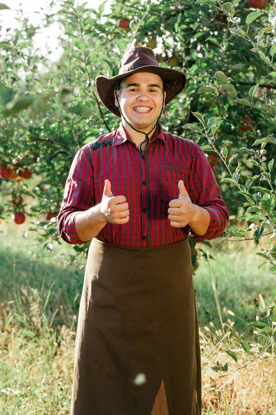 Mladý Šťastný Muž Zahradě Sbírat Pečená Jablka Majitel Jabloňový Sad — Stock fotografie