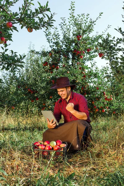 Joven Hombre Feliz Jardín Recoger Manzanas Maduras Propietario Del Huerto — Foto de Stock