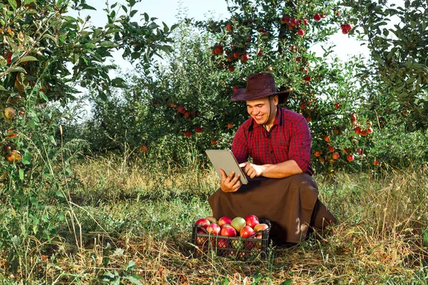 Joven Hombre Feliz Jardín Recoger Manzanas Maduras Agricultor Propio Jardín — Foto de Stock