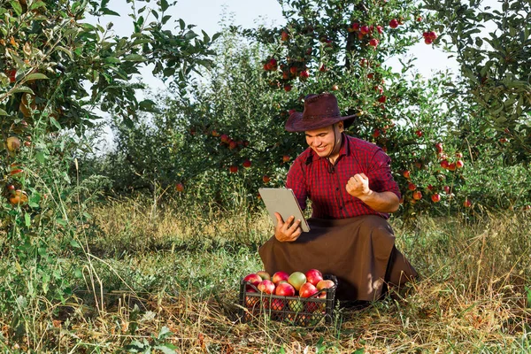 Mladý Šťastný Muž Zahradě Sbírat Pečená Jablka Farmář Jeho Vlastní — Stock fotografie