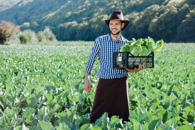 Genç bir adam olgun kırpma kutusu lahana tutan şapkalı. Mutlu çiftçi onun sahada hasat.