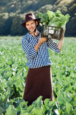 Genç bir adam olgun kırpma kutusu lahana tutan şapkalı. Mutlu çiftçi onun sahada hasat.