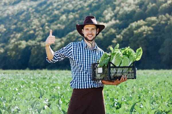 Een Jonge Man Een Hoed Bedrijf Vak Met Rijpe Bijsnijden — Stockfoto