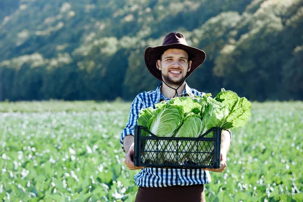 Mladý Muž Klobouku Drží Box Zralé Plodiny Zelí Happy Farmář — Stock fotografie