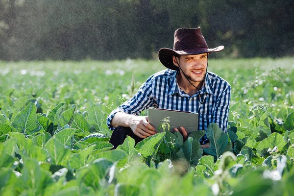 Agricultor Usando Computador Tablet Digital Fundo Sistema Aspersão Jovem Agrônomo — Fotografia de Stock