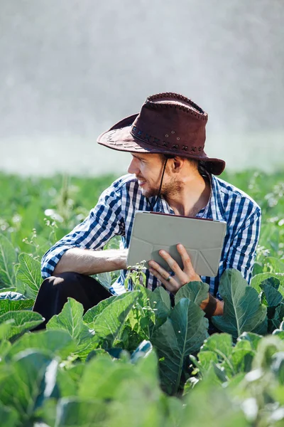 Agricultor Utilizando Tableta Digital Fondo Del Sistema Rociadores Joven Agrónomo — Foto de Stock