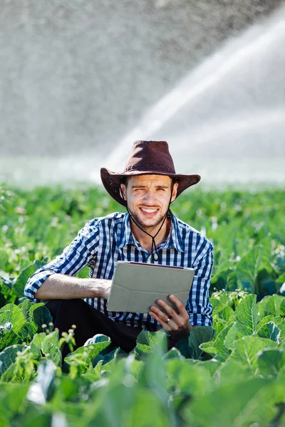 Agricultor Utilizando Tableta Digital Fondo Del Sistema Rociadores Joven Agrónomo — Foto de Stock