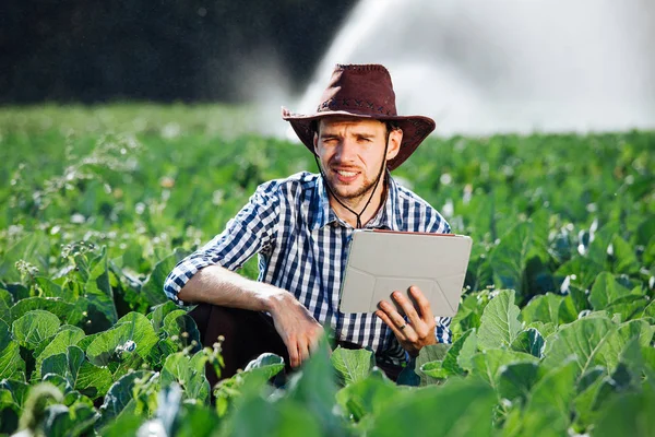 Agricultor Utilizando Tableta Digital Fondo Del Sistema Rociadores Joven Agrónomo —  Fotos de Stock