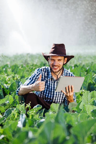 Agricultor Utilizando Tableta Digital Fondo Del Sistema Rociadores Joven Agrónomo — Foto de Stock