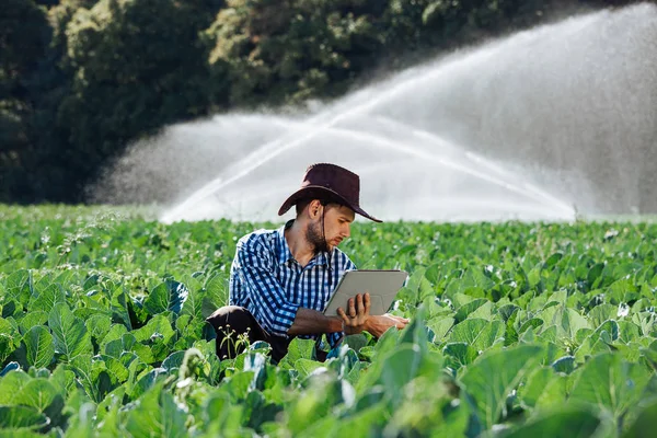 农民使用数字平板电脑在洒水系统的背景 一个年轻的农艺师坐在种植园里检查庄稼的质量 — 图库照片