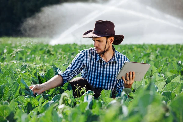 농부는 스프링 시스템 배경에 디지털 태블릿 컴퓨터를 학자는 농장에 앉아서는 — 스톡 사진
