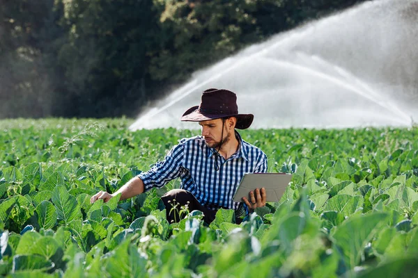 농부는 스프링 시스템 배경에 디지털 태블릿 컴퓨터를 학자는 농장에 앉아서는 — 스톡 사진