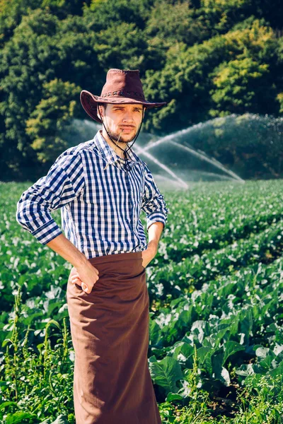 Granjero Encuentra Campo Fondo Del Sistema Riego Rociadores Joven Agrónomo — Foto de Stock