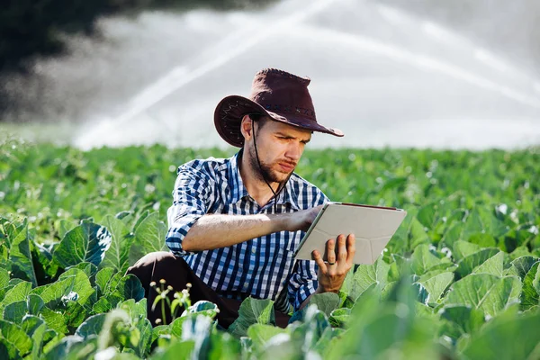 Çiftçi sulama sistemi arka plan üzerinde dijital tablet bilgisayar kullanarak. Genç bir ziraat mühendisi bir plantasyonda oturur ve ürün kalitesini denetler.