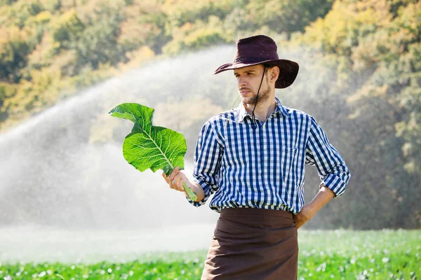 Pole Zalévání Nebo Systémem Pozadí Stojí Farmář Mladá Agronom Plantáži — Stock fotografie