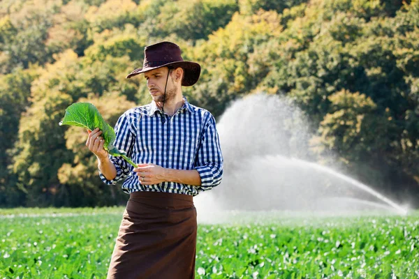 Pole Zalévání Nebo Systémem Pozadí Stojí Farmář Mladá Agronom Plantáži — Stock fotografie