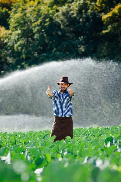 Farmer Stands Field Watering Sprinkler System Background Young Agronomist Plantation — Stock Photo, Image