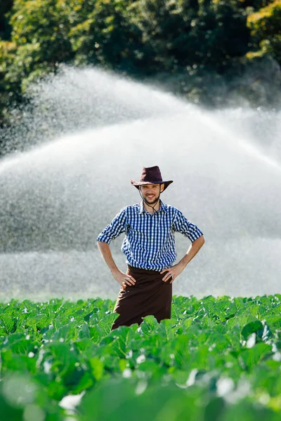 Rolnik Stoi Polu Tle Systemu Zraszającego Lub Podlewania Agronom Młody — Zdjęcie stockowe