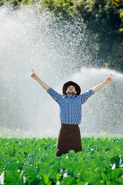 Farmer Stands Field Watering Sprinkler System Background Owner Prays Thanks — Stock Photo, Image