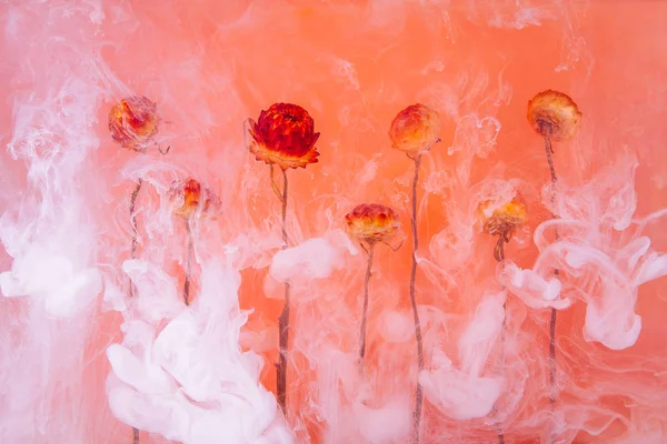 Fleurs Automne Rouges Jaunes Intérieur Dans Eau Sur Fond Orange — Photo