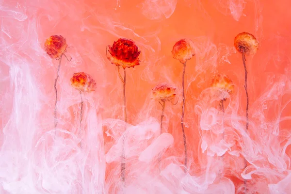 Fleurs Automne Rouges Jaunes Intérieur Dans Eau Sur Fond Orange — Photo