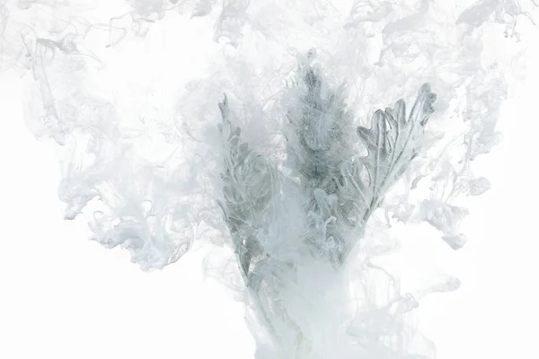 灰色的草在水里的白色背景 花在水下与丙烯酸蓝色和白色油漆美国冬天的故事 — 图库照片