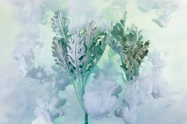 灰色の白い背景上に水の中の草 花は青と白のアクリル絵の具を水の下で私たちの冬の話 — ストック写真