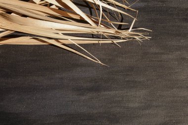 Gri tuval zemin üzerine kuru dal. Kahverengi palmiye yaprakları gri kumaş üzerine.
