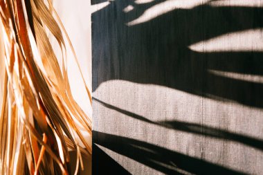 Işık ve gölge hurma yaprakları gri tuval arka plan üzerinde. Sıcak gün ışığına palmiye dalları ile.