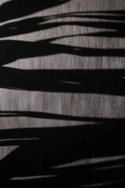 Licht Schaduw Van Palmbladeren Canvas Grijze Achtergrond Wit Zwart Concept — Stockfoto