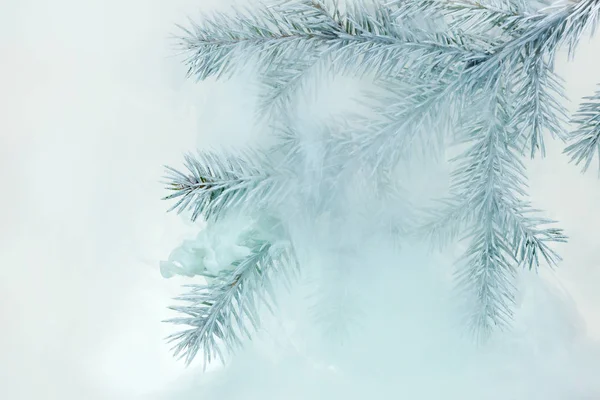 水カラー白地アクリル煙蒸気霜ヘイズ雪スプルースの枝針クリスマス ツリー冬の周りの緑の水の中 — ストック写真