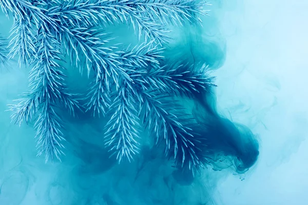 Gałęzi Igły Niebieski Farb Akrylowych Wewnątrz Wody Białym Tle Stylu — Zdjęcie stockowe